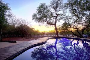Bazén v ubytování Mvuradona Safari Lodge nebo v jeho okolí