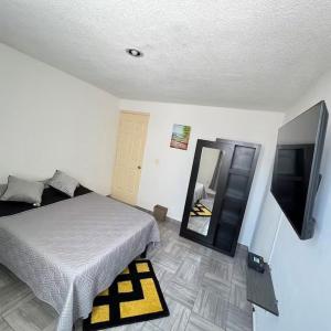 a bedroom with a bed and a flat screen tv at Casa en Tehuacán Se puede facturar in Cedro