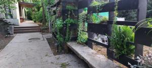 Photo de la galerie de l'établissement גן עדן ביקנעם המושבה, à Yoqne‘am