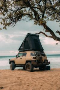 Příroda nedaleko luxury tent + 12 fotografií
