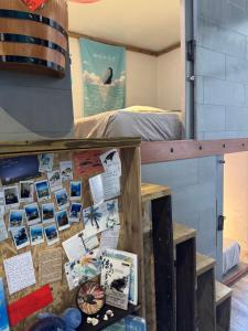 耶舍 yes sir 潛水旅宿評價、潛水體驗、舒適住宿、包棟資訊 – 綠島潛水專業民宿 - 照片 12