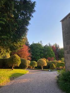 a driveway with bushes and trees in a park at Glenburn, Peaceful Accommodation Fochabers in Fochabers