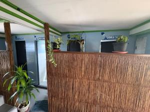Vstupní hala nebo recepce v ubytování Color Hostel