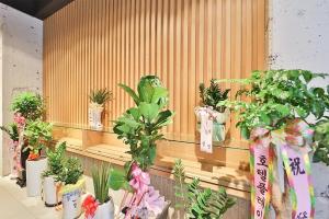 Zahrada ubytování Ulsan Samsan CUSTOM HOTEL