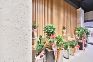 Fotografie z fotogalerie ubytování Ulsan Samsan CUSTOM HOTEL v destinaci Ulsan