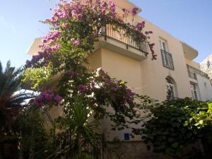Zahrada ubytování Apartments Marino