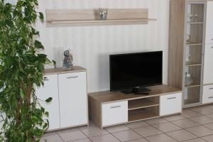 a living room with a tv on a white entertainment center at Ferienwohnungen Angela - Ruhe, Komfort und Erholung im Grünen in Bad Marienberg