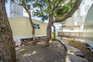 a group of trees in front of a building at Gangneung Travel Good Camping Pension in Gangneung