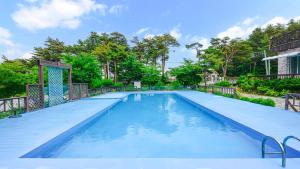 a large swimming pool with blue water at Sokcho White House Swimming Pool Pension in Sokcho