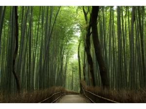 Φωτογραφία από το άλμπουμ του Marutamachi Crystal Hotel - Vacation STAY 05336v στο Κιότο