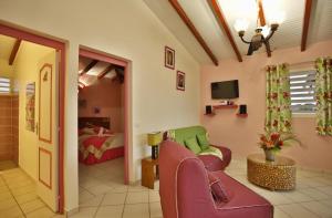 TV a/nebo společenská místnost v ubytování Gîte Orchidée piscine commune