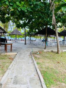 Κήπος έξω από το Golden Sun-Fisherhut