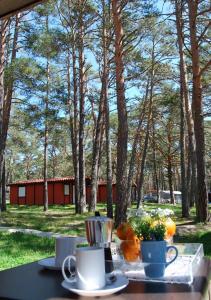 Zahrada ubytování Camping Urbion