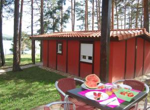 Zahrada ubytování Camping Urbion