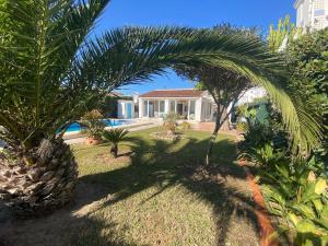 a house with palm trees and a swimming pool at Terreta de Denia in Denia