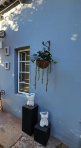a blue building with two vases on the side of it at Kuruman Garden Cottages unit 2 in Kuruman