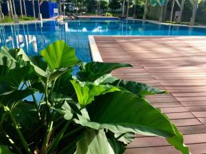 Πισίνα στο ή κοντά στο Condo Free Pool Fast Wi-fi near BGC, C5