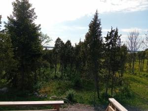 Příroda nedaleko kempu