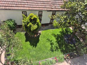 Zahrada ubytování Vladimirov Guest House