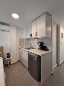 a kitchen with a sink and a counter top at Casa del Mare in Vlikhon