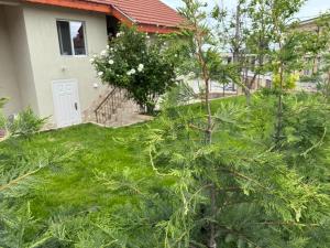 a green yard with trees and a house at Стаи за гости - Дара Девня 1 in Devnya