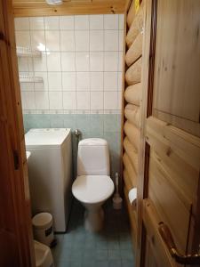 a small bathroom with a toilet and a sink at Kolilla oy, Purnutar B in Kolinkylä +21 photos