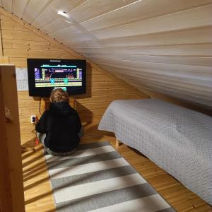 TV a/nebo společenská místnost v ubytování Kolilla oy, Purnutar B