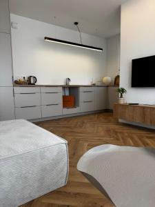 TV a/nebo společenská místnost v ubytování Japandi Apartment Pogórze