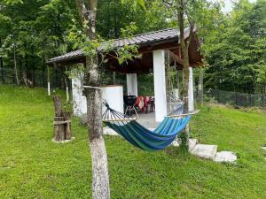 a blue hammock in front of a house at Căsuța bunicii in Vişeu de Sus +16 photos