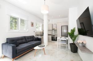 Televisor o centre d'entreteniment de Asterashouse 2