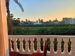 desde el balcón de un complejo en Djorff Guest House, en Luxor