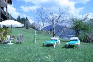 Táj Show holiday homes közelében