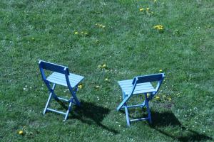 A garden outside Landhäusl