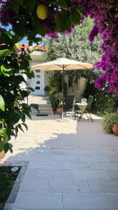 Um jardim em Alkistis House