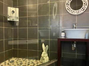 a bathroom with a rabbit sitting on the floor next to a sink at Cottage on Kort Deluxe in Parys +46 photos