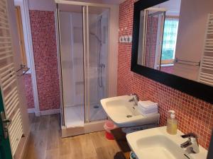 a bathroom with a sink and a shower at La Halte du Pèlerin Chambres d'hôtes in Chérier +42 photos