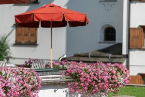Zahrada ubytování Hotel Chesa Grischuna