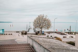 a view from the roof of a building with a tree at Apartamenty Camila in Rewa