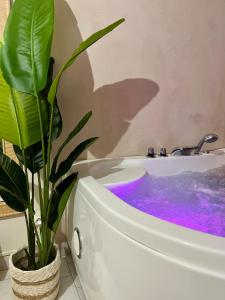 صورة لـ Suite Evasion, Baignoire Balneo في نيم