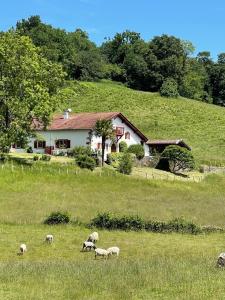 Φυσικό τοπίο κοντά σε αυτό το bed & breakfast +72 φωτογραφίες