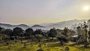 a view of a field with trees and mountains at Green Love Garden Resort in Ban Bung Mai