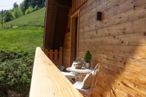 Zahrada ubytování Schwarzwald Chalet -Wilde Rench-