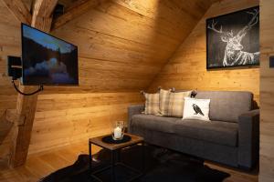 TV a/nebo společenská místnost v ubytování Schwarzwald Chalet -Wilde Rench-