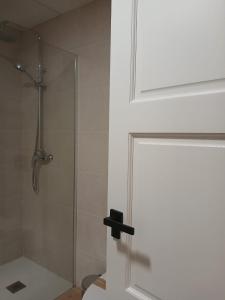 a glass shower door in a bathroom with a toilet at Hotel Apartamento Via Caprasia Habitaciones&Apartamentos in Villargordo del Cabriel +24 photos