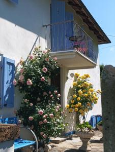 Fotografie z fotogalerie ubytování Casa Bianca Azzurra con piscina v destinaci Niella Belbo