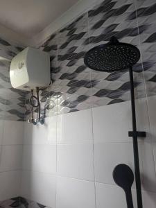 a shower in a bathroom with a tank and a fan at Bieni Homes in Nkunjila