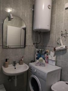 a bathroom with a washing machine and a sink at Butmir house-Sarajevo in Ivišovo Greblje +8 photos