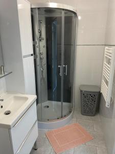 a bathroom with a shower and a sink at Appart 2 pièces in Canaules-et-Argentières