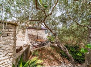 Vonkajšia záhrada v ubytovaní Stone House Blaca + 37 fotografií