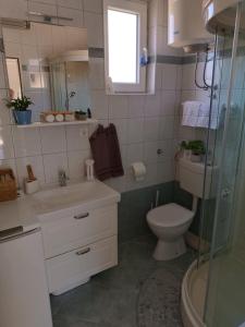 Un baño con inodoro, lavabo y ducha. en Sunny Family Apartment, en Gornji Karin 28 fotos más